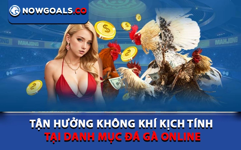 Tận hưởng không khí kịch tính tại danh mục Đá gà online