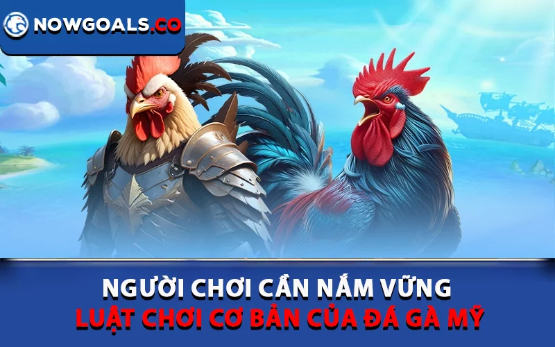 Người chơi cần nắm vững luật chơi cơ bản của đá gà Mỹ